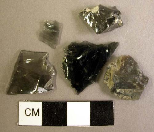 20 obsidian flakes