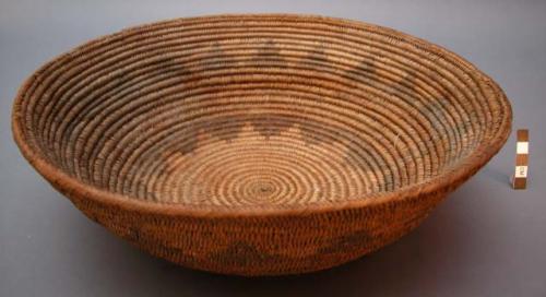 Wedding basket. Coiled w/ false braid rim finish. Faded design in brown, black