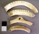 Organic, shell, ornament, fragments of shell bracelets, incised, 1 perforation
