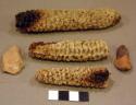 Corn cob fragments, burnt, 1 body sherd, undecorated, 1 seed fragment