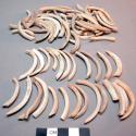 Fragments of glycymeris shell bracelets - ranges: length, 1.4, diameter, 5.5, th