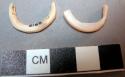 Ring fragments of glycymeris shell