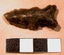 Obsidian projectile point
