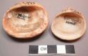 Worked glycymeris shells, edges smoothed, perforations on umbonal region - 4.0 a