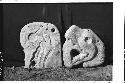 2 "flat stone heads" one pisote? with death features other realistic snake head