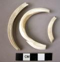 3 shell bangle fragments