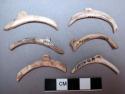 Glycymeris shell fragments - probably from bracelets