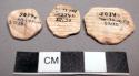 Cardium shell disks--roughly circular. largest: 2.4 x 2.0 x .3 cm. and smallest