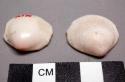 Glycymeris shells with perforations in umbo, edges chipped and surfaces worn - l