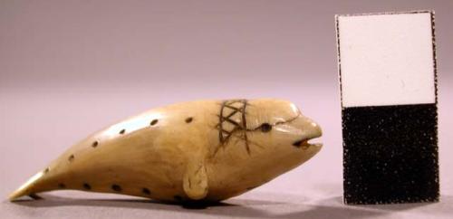 Ivory carving. Whale-shaped, flippers and tail carved in relief. Lines and dots.