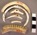 Fragments of shell bracelets