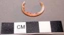 Ring fragment of glycymeris shell