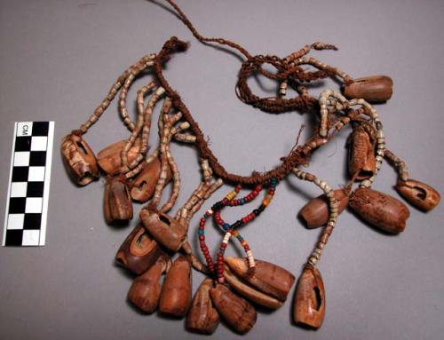 Leglet of fibre, shell & beads - worn by men and women in dances