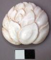 Carved White Stone Lotus Blossom, Probably Decorative Inset for Furniture