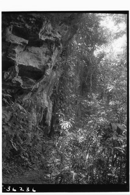 Thompson's cenote