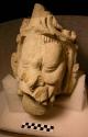 Sculptured head with protruding upper teeth.  Tenon broken.