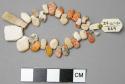 Pendant-like shell beads