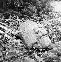 Anthropomorphic head from Structure 33 at Yaxchilan