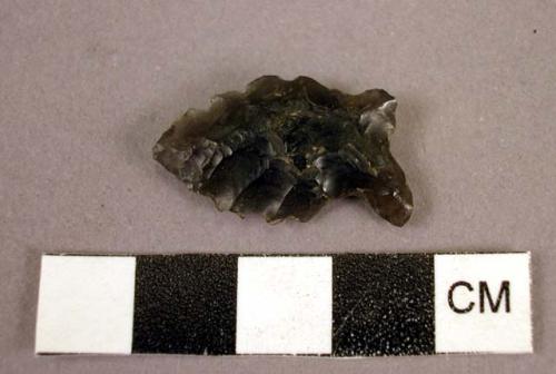Small obsidian point tanged with hollowed base
