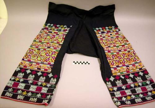 Woman's pants with brocade and embroidery