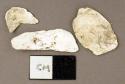 Shell fragments, white