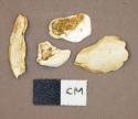 Shell fragments