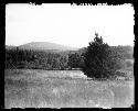 The cedar near which the cache was discovered. Carter Mt. In distance, Berkely