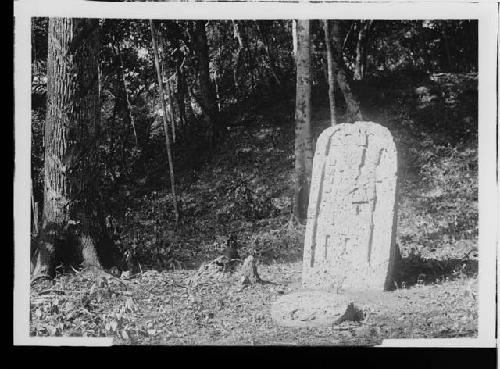 Stela and Altar in Front of Mound A, Group X