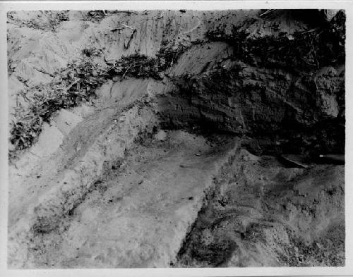 Details of excavation in Barrier Canyon; detail of floor layer in room E