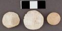 Cardium shell disks--one with notches on part of edge and beginning of perforati