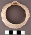 Piece of worked glycymeris shell (bracelet) - 7.0 cm. diameter