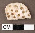 Shell fragment, curved with partially drilled perforations