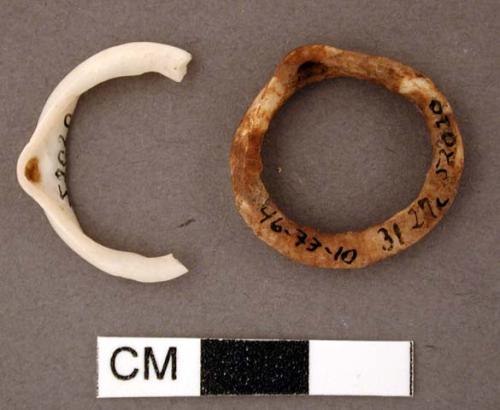 Shell ornaments, one bivalve rim, burned and one fragment