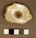 Worked fragment of haliotic shell