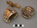 Pendant shell rattle. said by a native to be used for scraping +