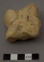 Animal bones and fragments (horse) phalanges