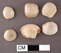 5 glycymeris shells, all with perforations in umbonal region, surfaces chipped a