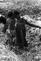 Samuel Putnam negatives, New Guinea; 2 children near men working in a garden ditch