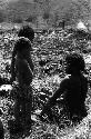 Samuel Putnam negatives, New Guinea; 2 children near Aikpon working in a garden ditch