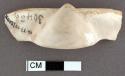 Bracelet fragments from umbo of glycymeris shell