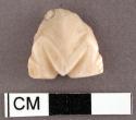 Fragment of carved glycymeris shell, part of frog? carving. 1.6 x 1.7 cm.