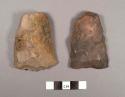 Chisel-like stone tools: adzes or planes, plano-convex