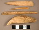Worked animal bone awl fragments; animal tooth, possible bear tooth