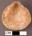 Cardium shell, surface and edges worn. 3.9 x 3.7 cm.