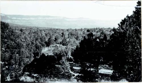 View toward Canyon from Owen's Ranch (Owen's PO is Kanob, Az.)