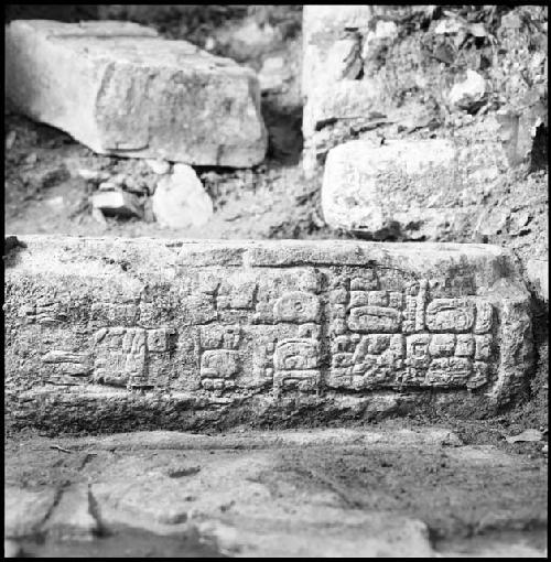 Upper step riser of Hieroglyphic Stairway 3 of Structure 44 at Yaxchilan