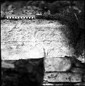 Upper step riser of Hieroglyphic Stairway 3 of Structure 44 at Yaxchilan