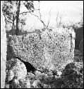Fragment of Stela 11 at Uxmal