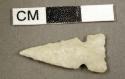 Chipped stone projectile point