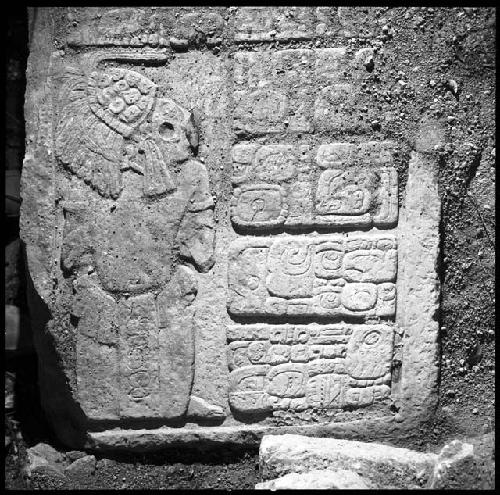 Upper step tread of Hieroglyphic Stairway 3 of Structure 44 at Yaxchilan